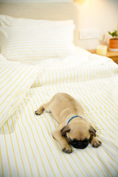 Organic cotton Duvet cover- Yellow Stripes